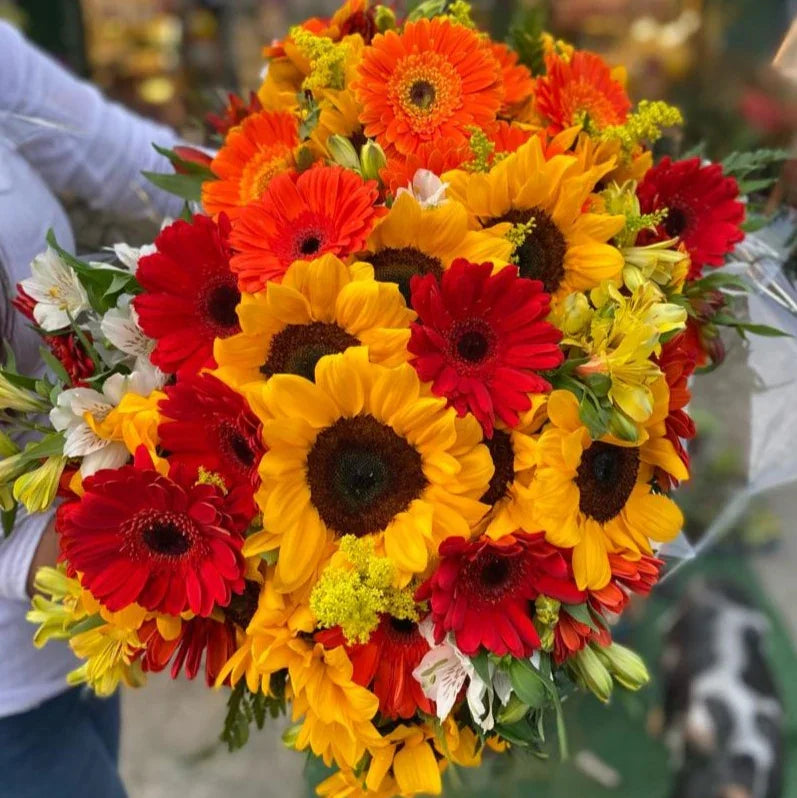 Buquê romântico com girassóis, astromélias e gérberas coloridas em embalagem especial com laço de fitas.
Excelente opção de presente romântico personalizado - Floricultura rancho das Plantas, entrega em toda região de São Paulo.