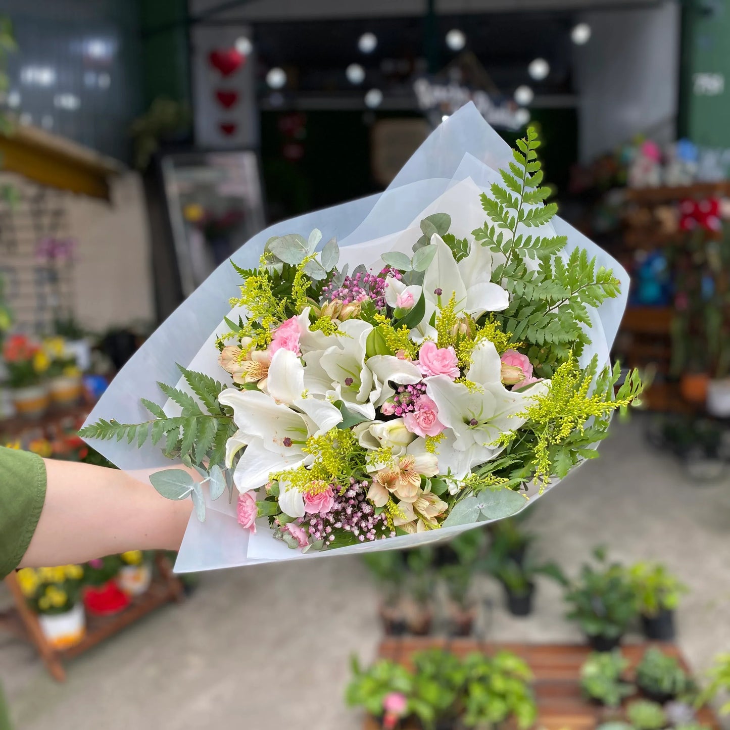 Buquê Acácia - Rancho das Plantas