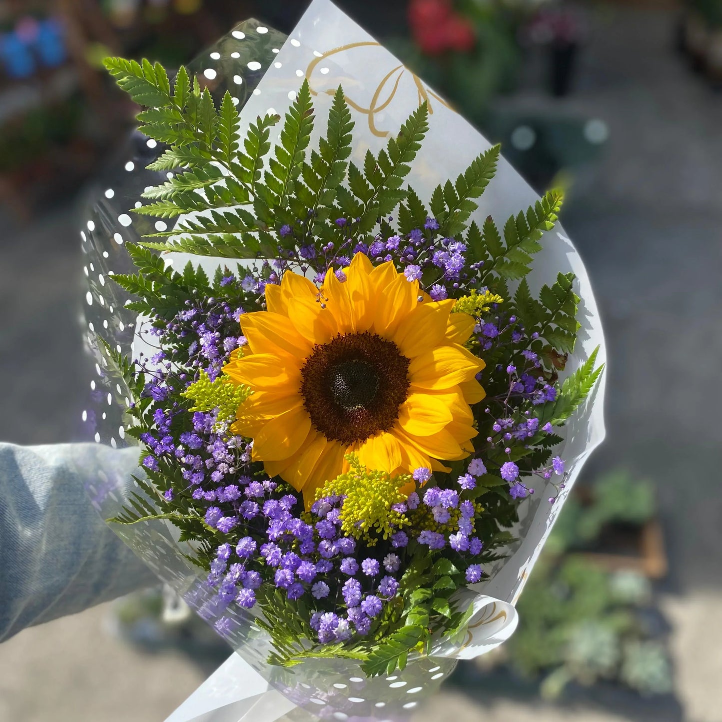 Encanto de Girassol - Rancho das Plantas