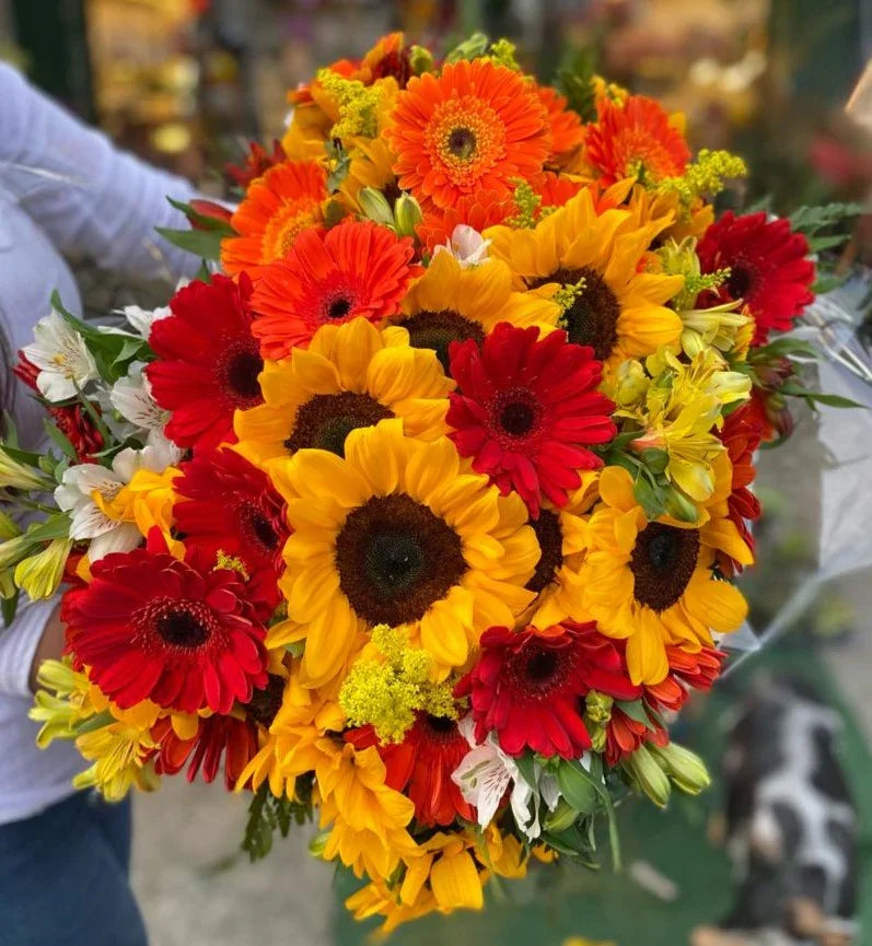 Buquês Premium – Luxo, Sofisticação e Emoção em Cada Flor - Rancho das Plantas